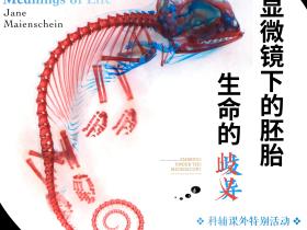 Symposium 丨Reading Embryos under the Microscope